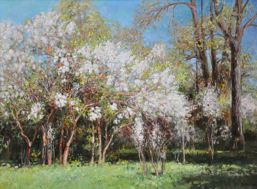  художник  Кудрин Юрий, картина Цветущий сад