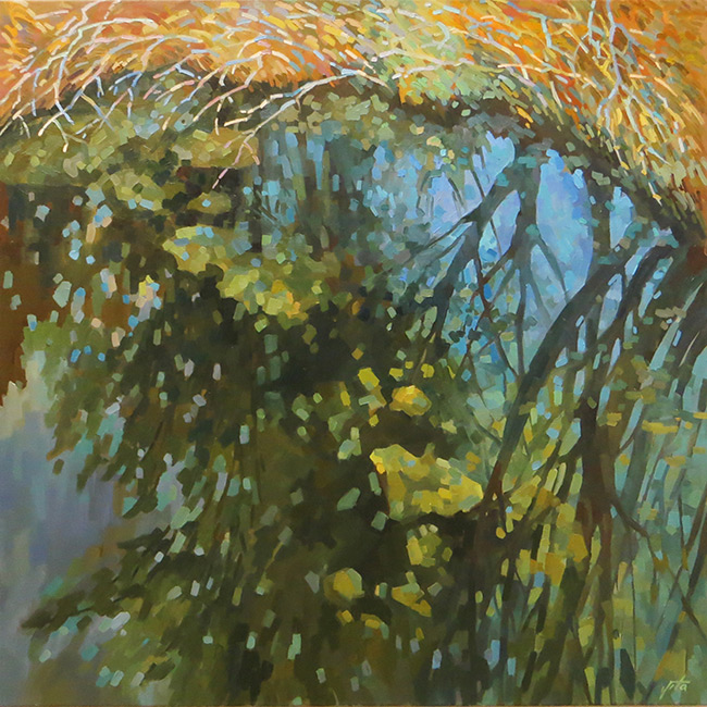  ��������  ������ ��������, ������� ����������