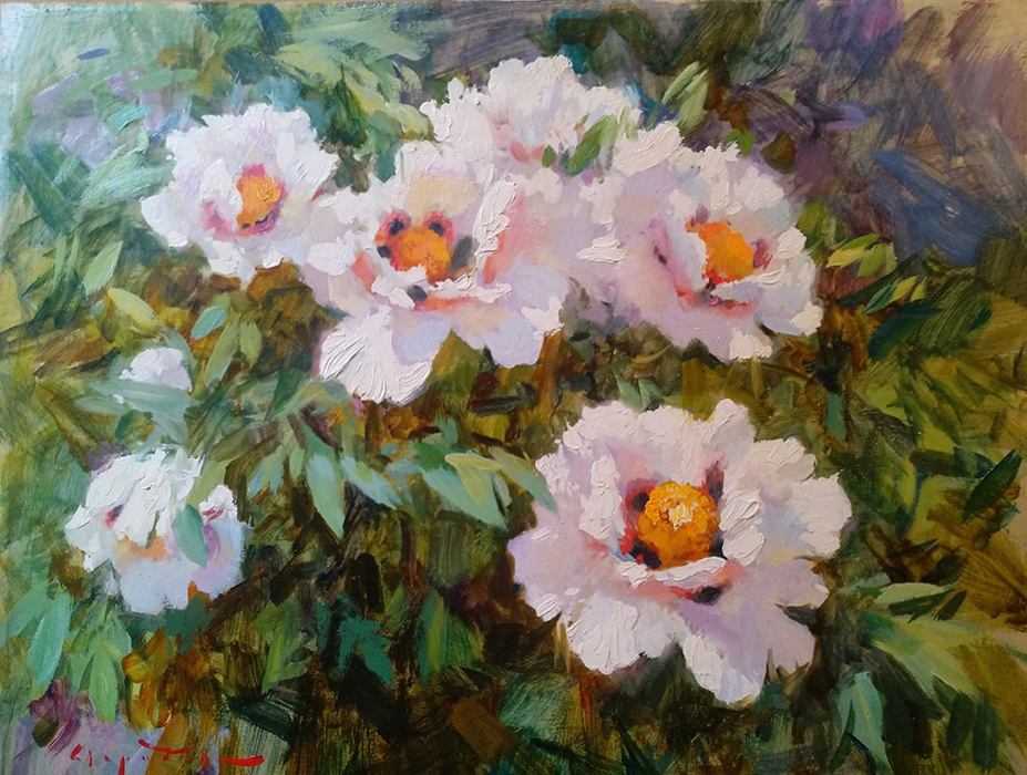  ��������  �������� ������, ������� �����