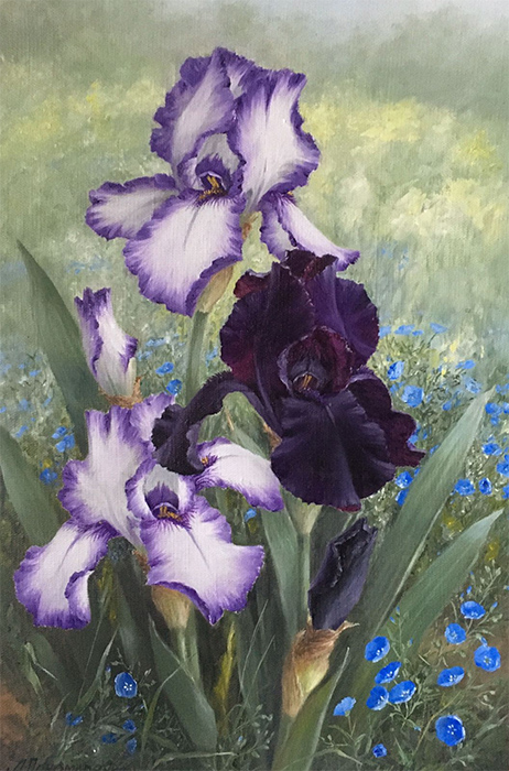  художник  Пономаренко Альфия, картина Ирисы с полевыми цветами