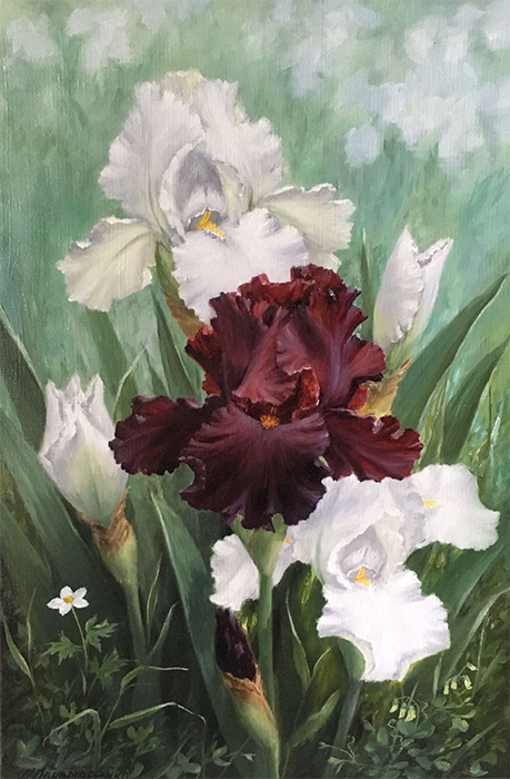  художник  Пономаренко Альфия, картина Ирисы с белым цветком