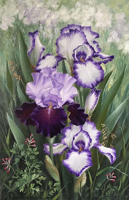  художник  Пономаренко Альфия, картина Ирисы с полевыми цветами