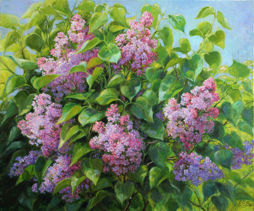  ��������  �������� �����, ������� ���� ������