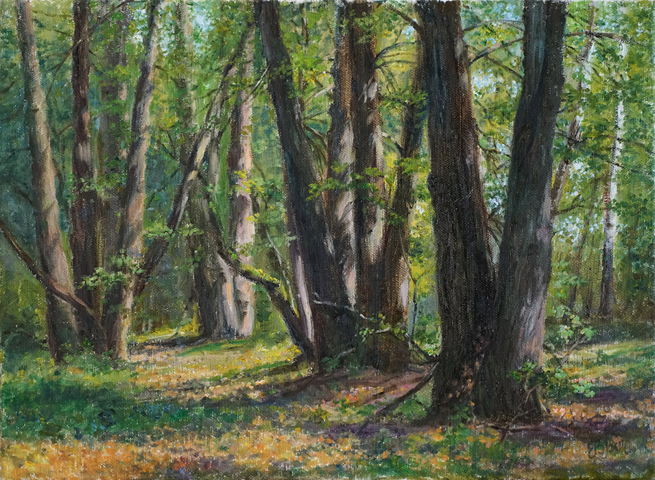  ��������  �������� �����, ������� ������  �����