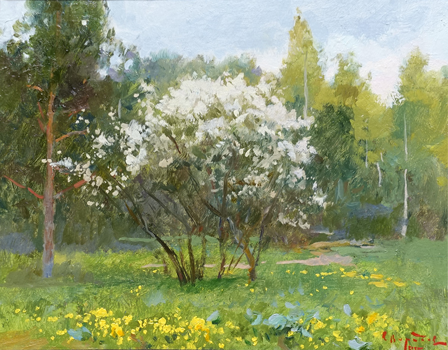  ��������  �������� ������, ������� ����� � ����������