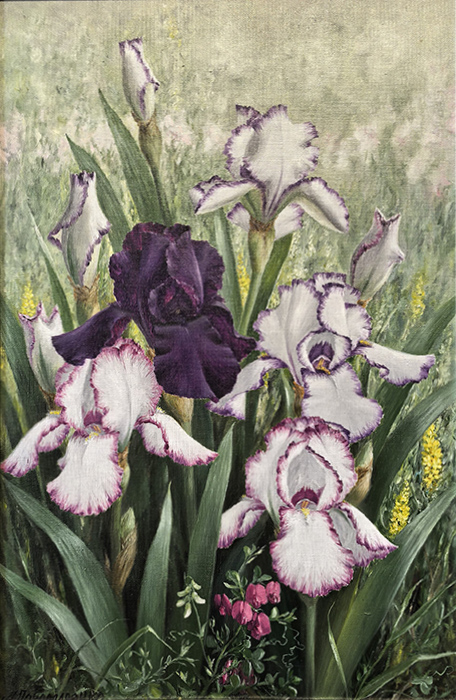  ��������  ����������� ������, ������� �����